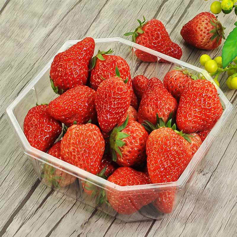 OEM/OEM Todos Aceitáveis